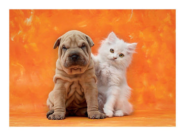 Puzzle Animales Lindos - 0